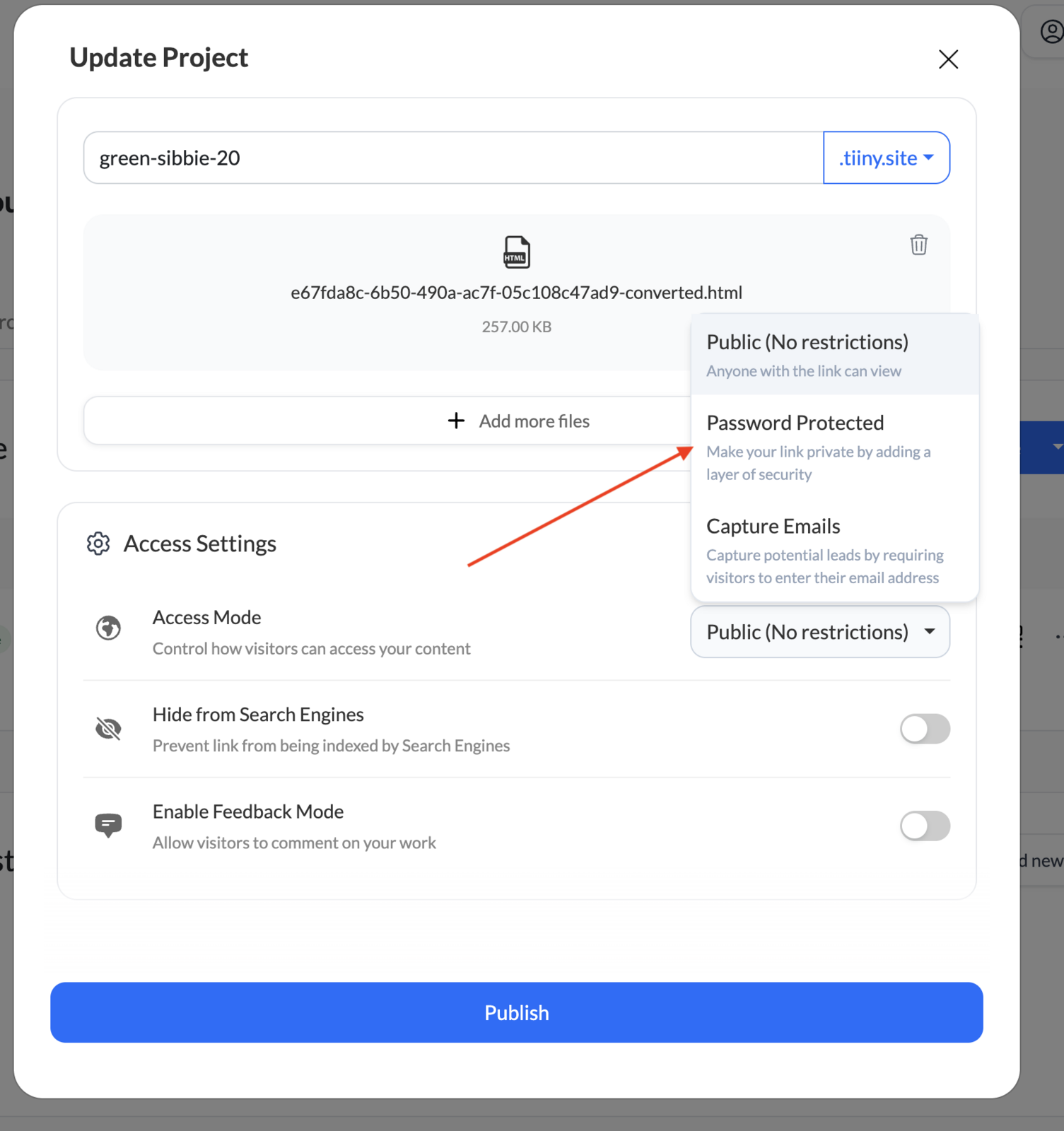 tiiny.host Access Settings dropdown showing Public, Password Protected, and Capture Emails options — no specific email allowlist